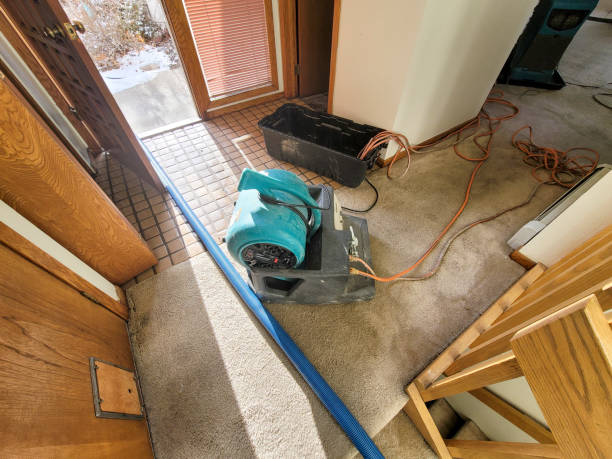 Best Ceiling water damage repair  in March Ar, CA