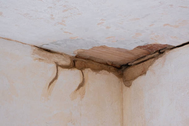 Best Ceiling water damage repair  in March Ar, CA