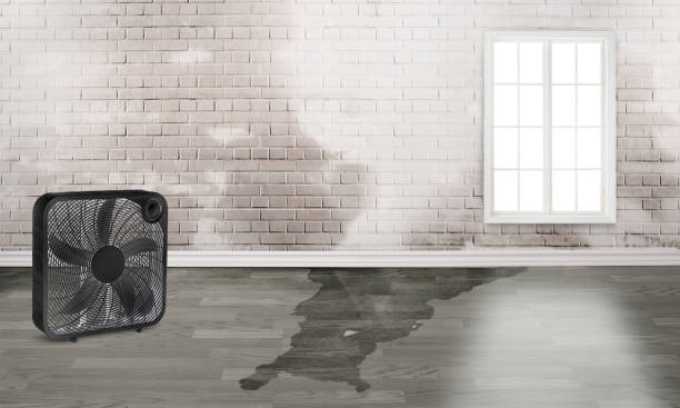 Best Fire Damage Restoration  in March Ar, CA
