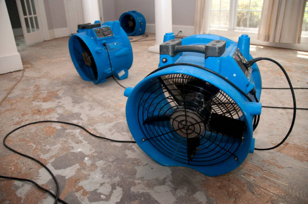 Best Carpet water damage restoration  in March Ar, CA