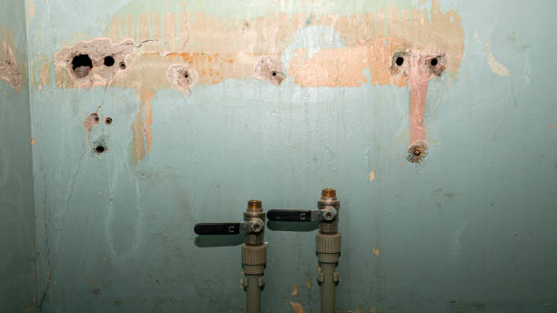 Best Flooded house restoration  in March Ar, CA